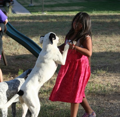Girl Playing with Dog