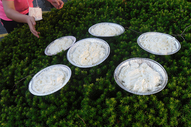 Six Cream Pies Ready